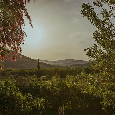 Sunny Garden Apartments Epidaurus Bagian luar foto